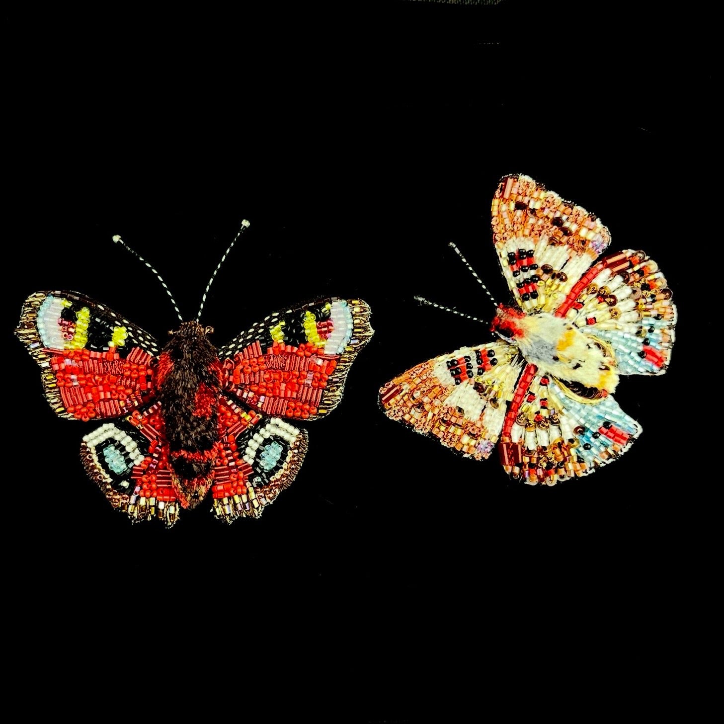 Lady Angola Butterfly with Anglais Peacock Butterfly Brooch