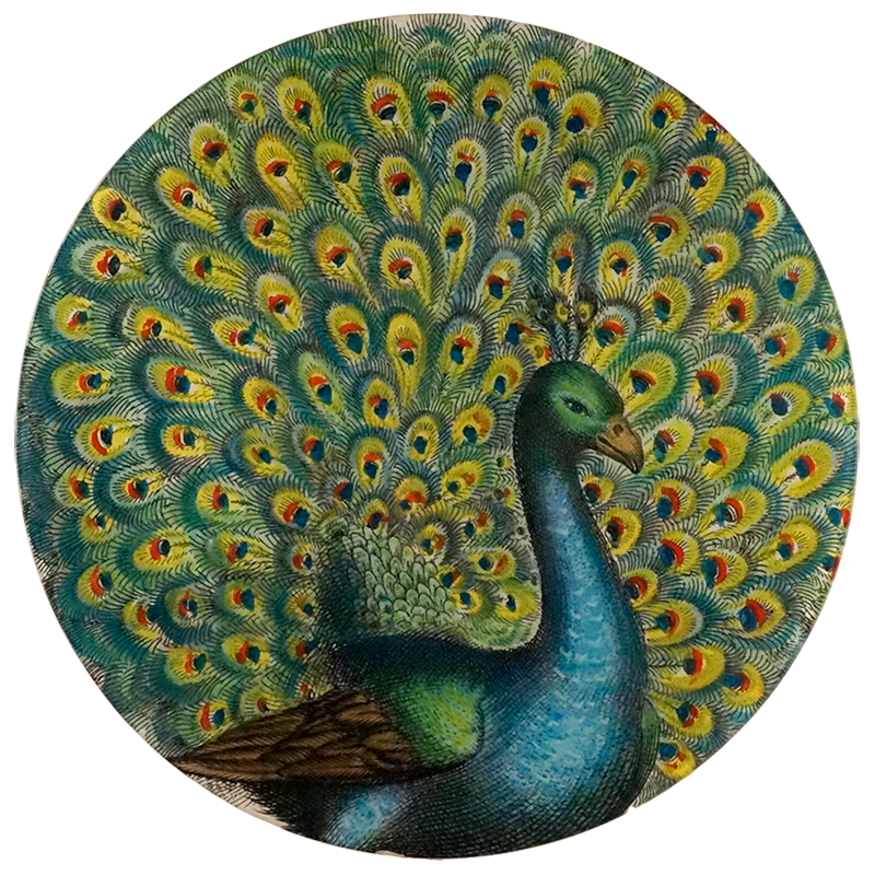 Round Peacock Tray 16"