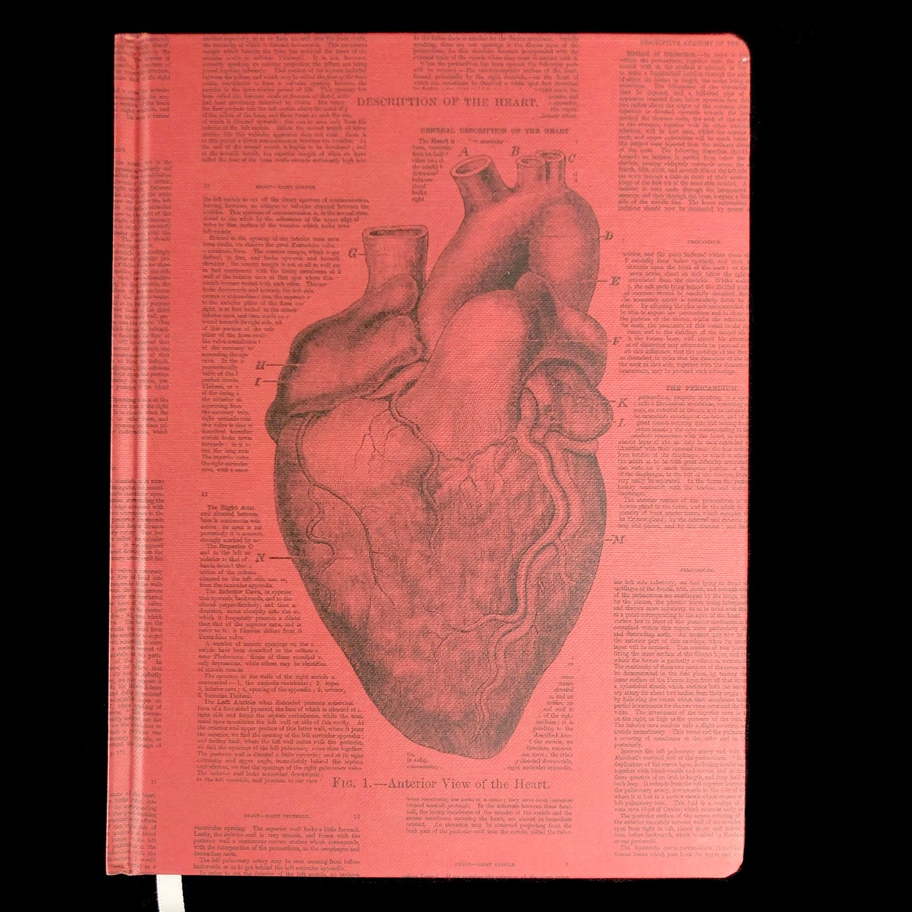 Front cover of Anatomical Heart Hardcover Notebook