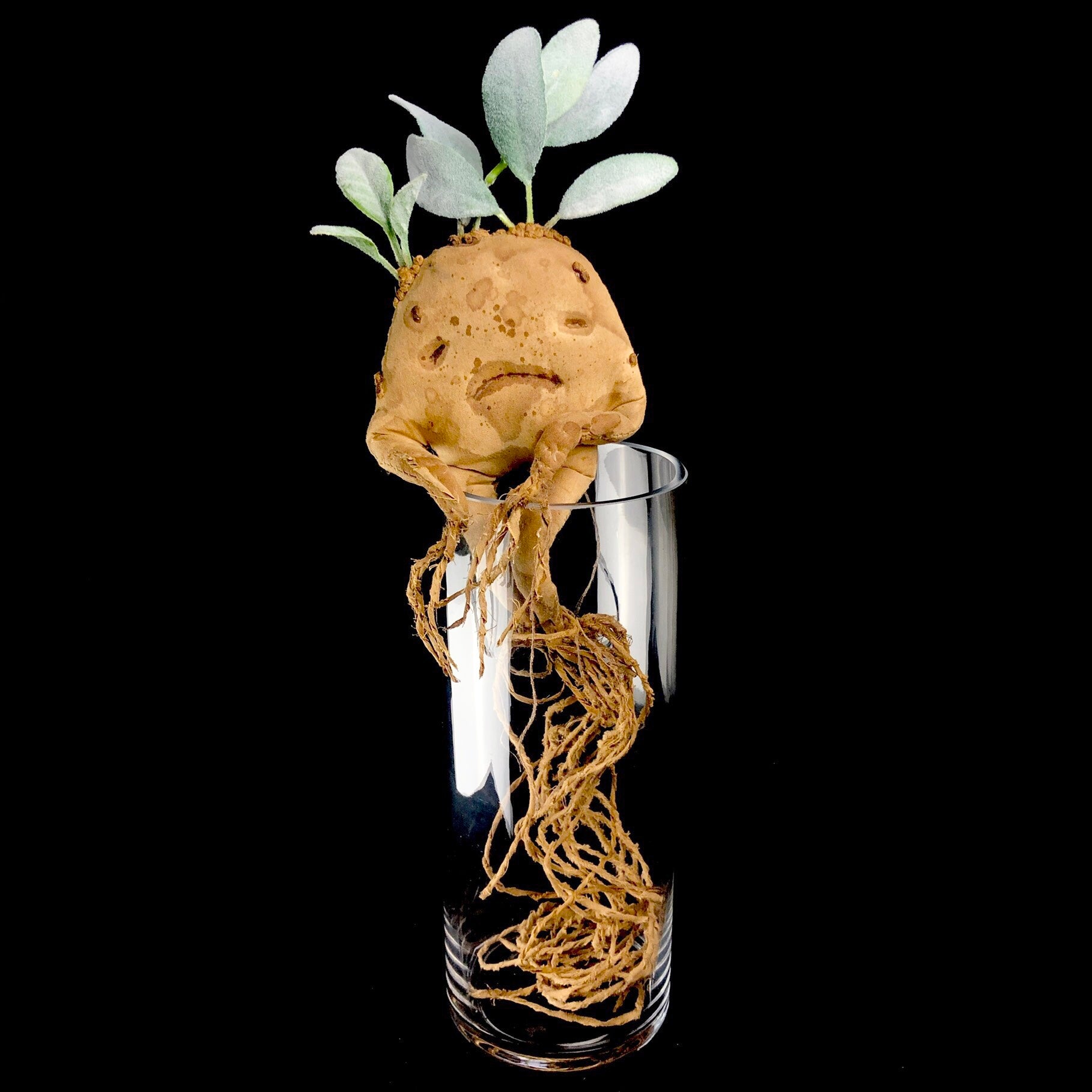 Brown rootlike creature with green leaves on its head sitting in glass jar