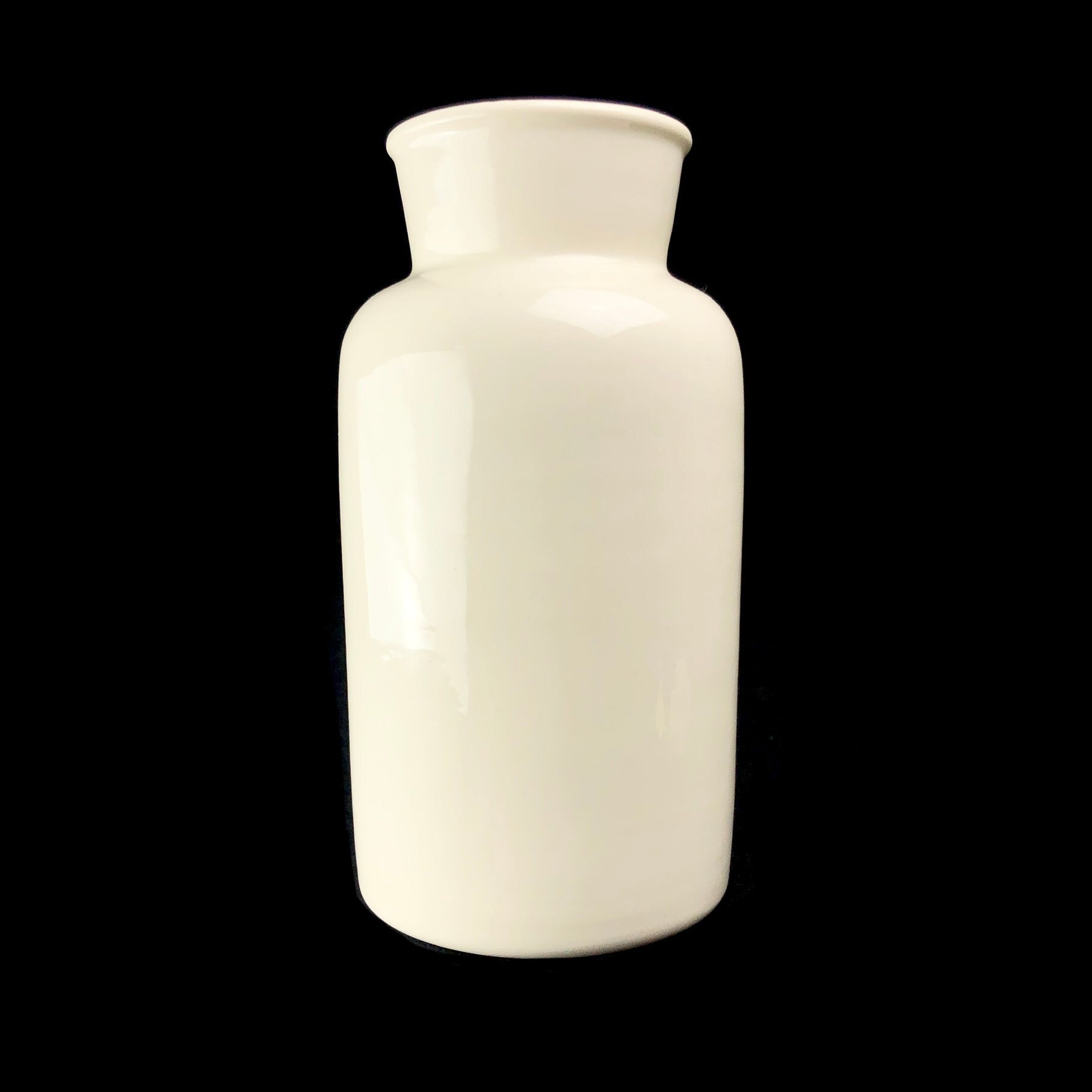 Blank white back side of Seahorse Vase
