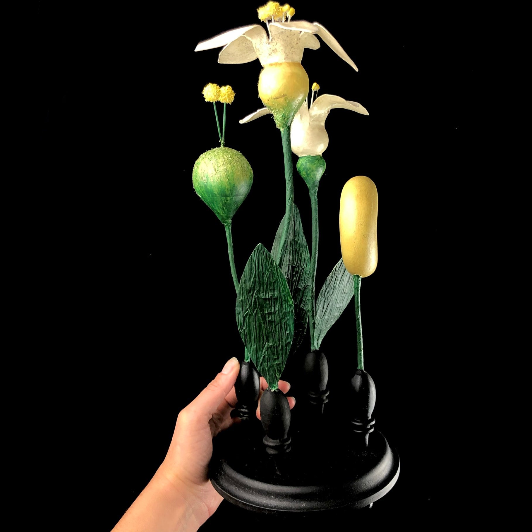 Side view of Bean Plant Study Model shown in hand