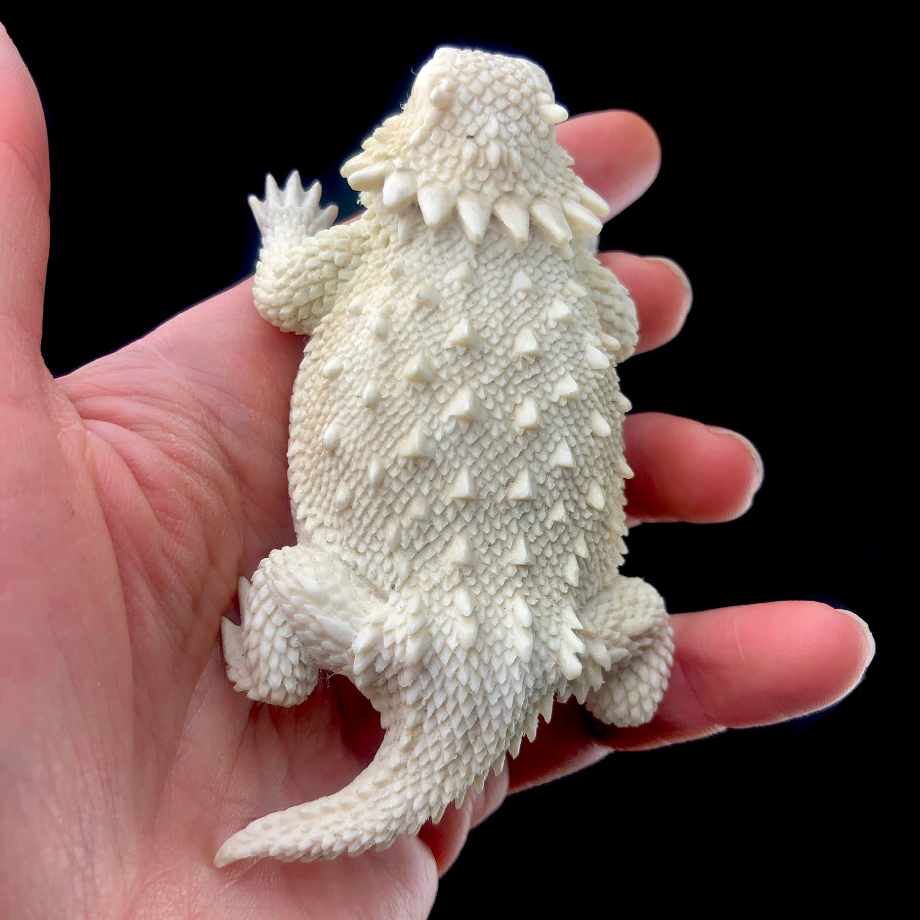 Top view of Horny Toad Carving