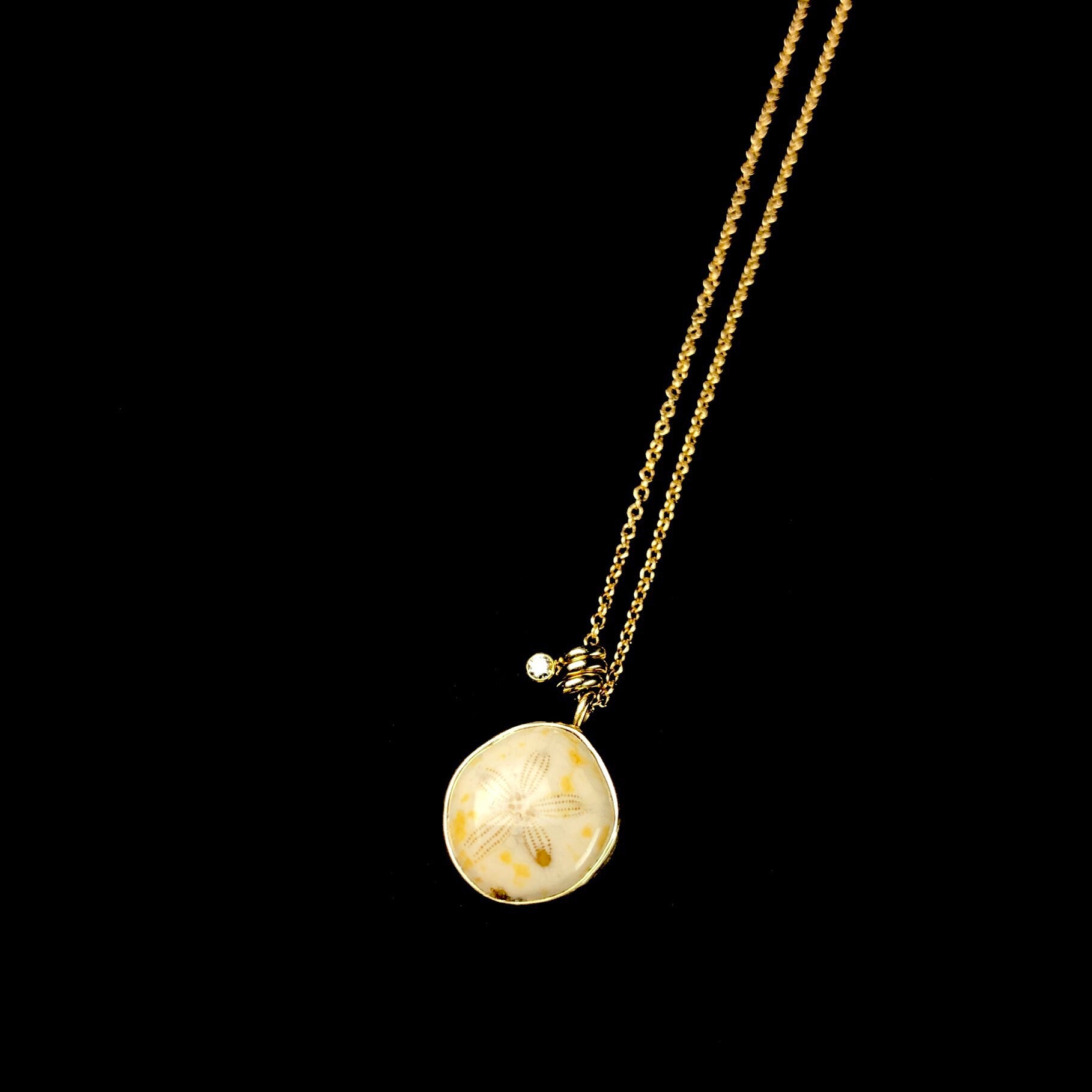 Tan colored, round fossilized sea urchin with the shape of a star in the center