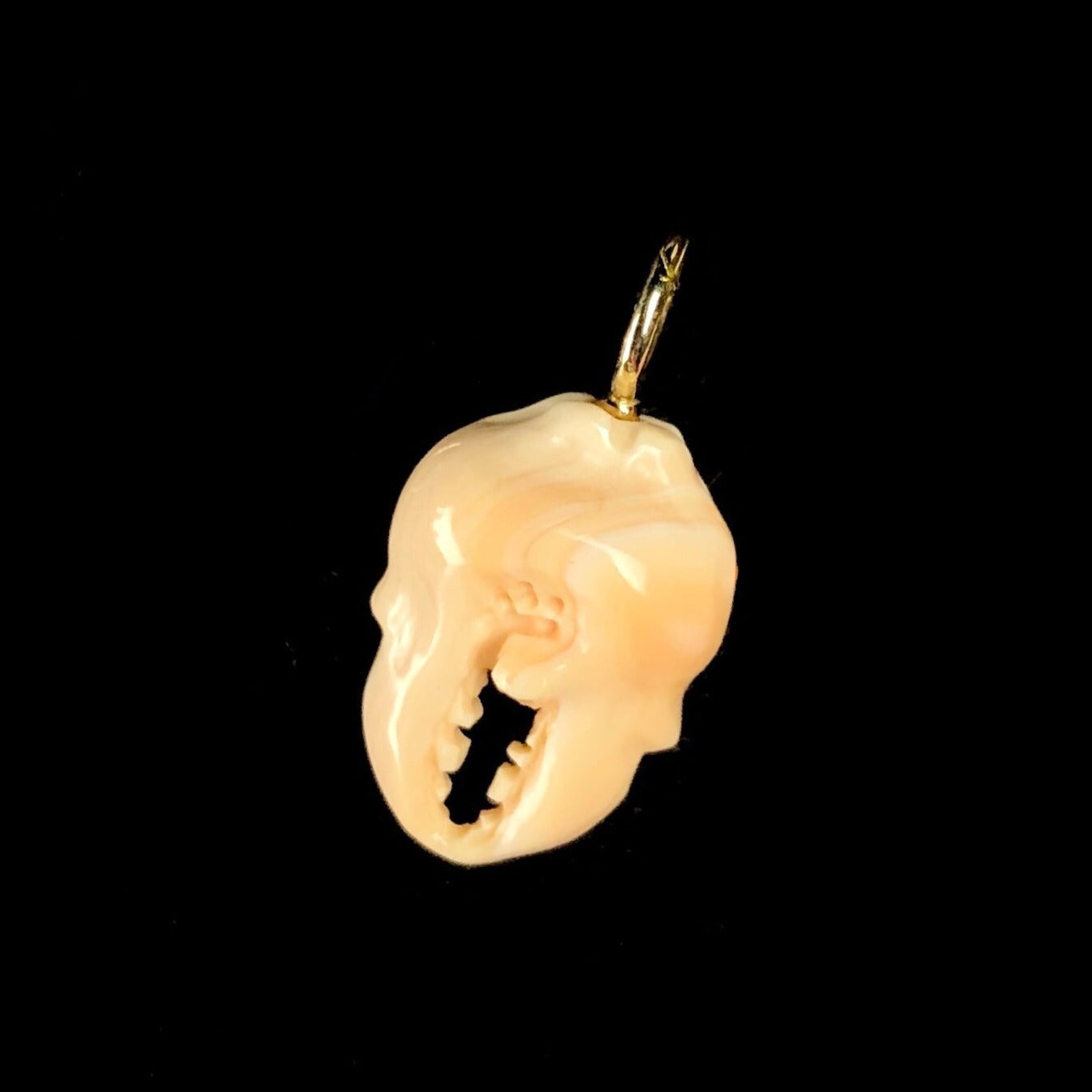 Light Orange colored Conch Crab Claw Charm with gold bail
