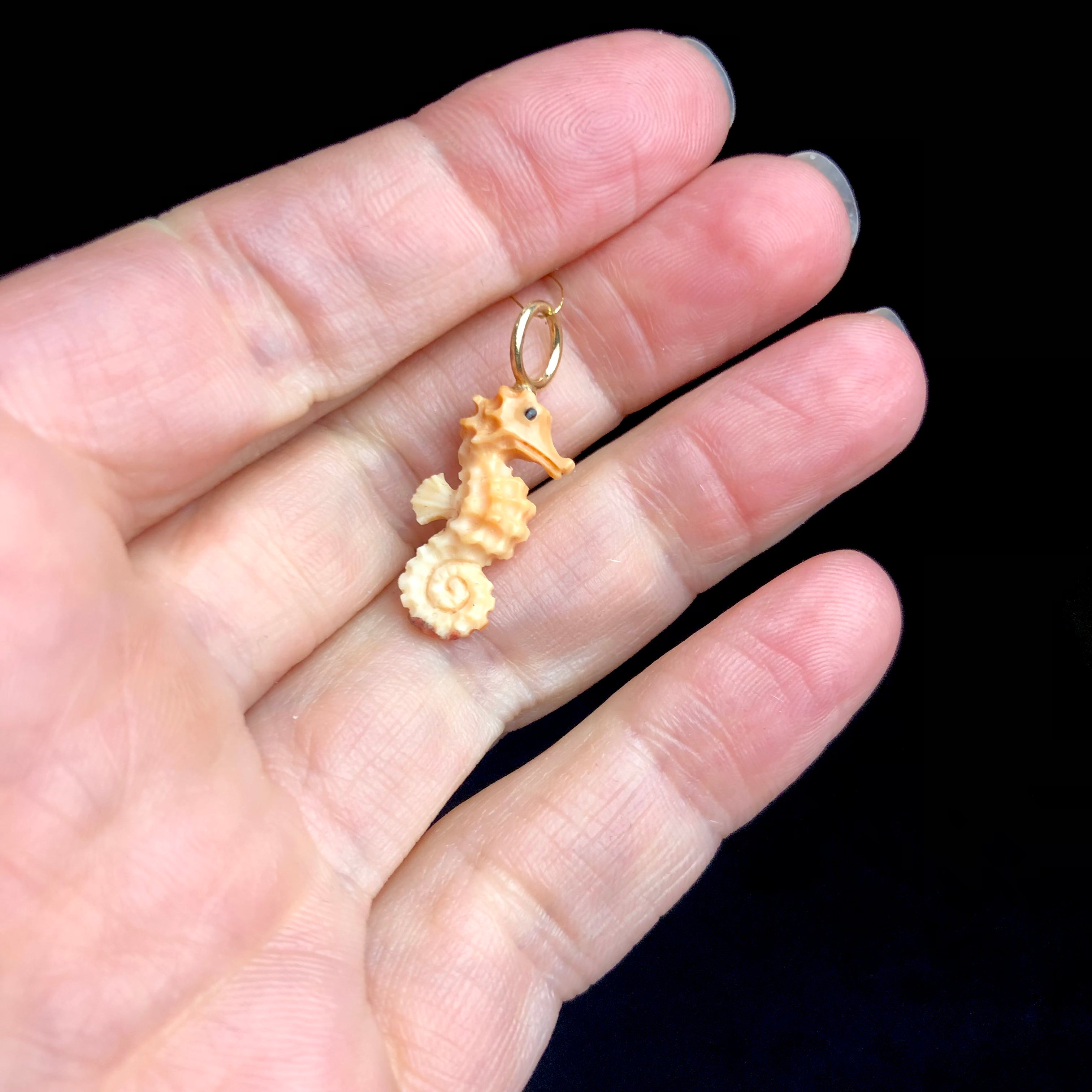 Conch Seahorse Charm shown in hand