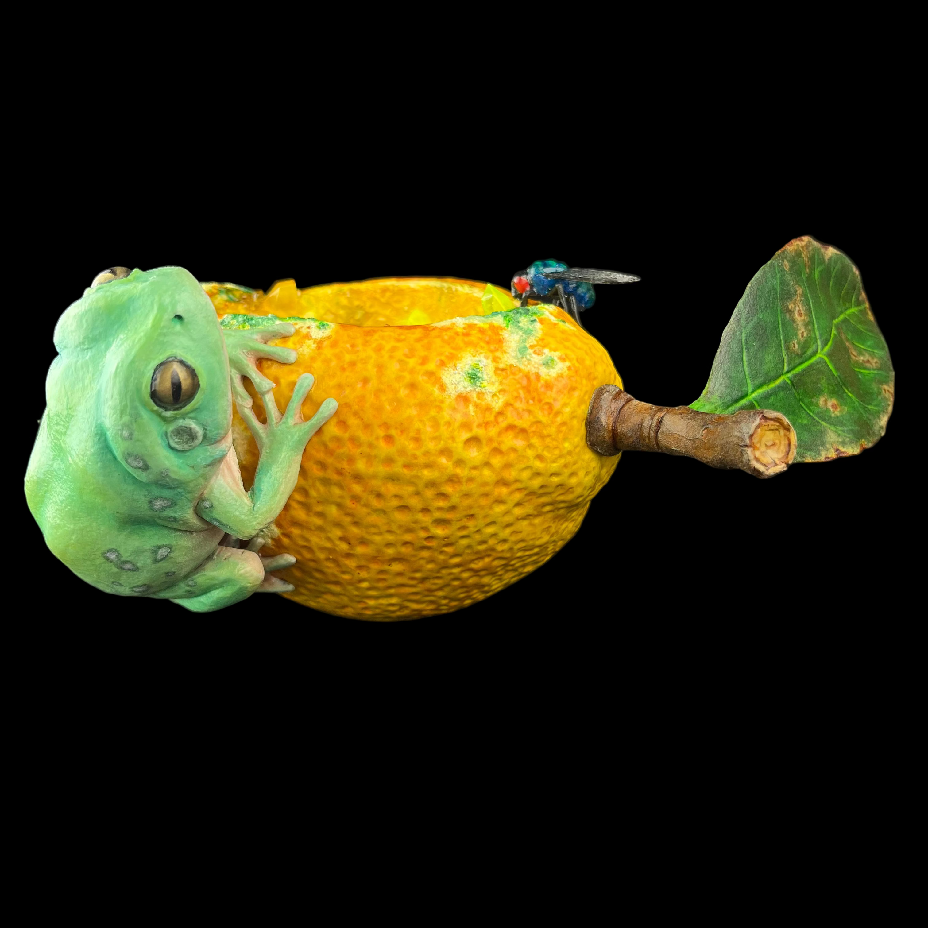 Frog on a lemon with a fly on a dark background