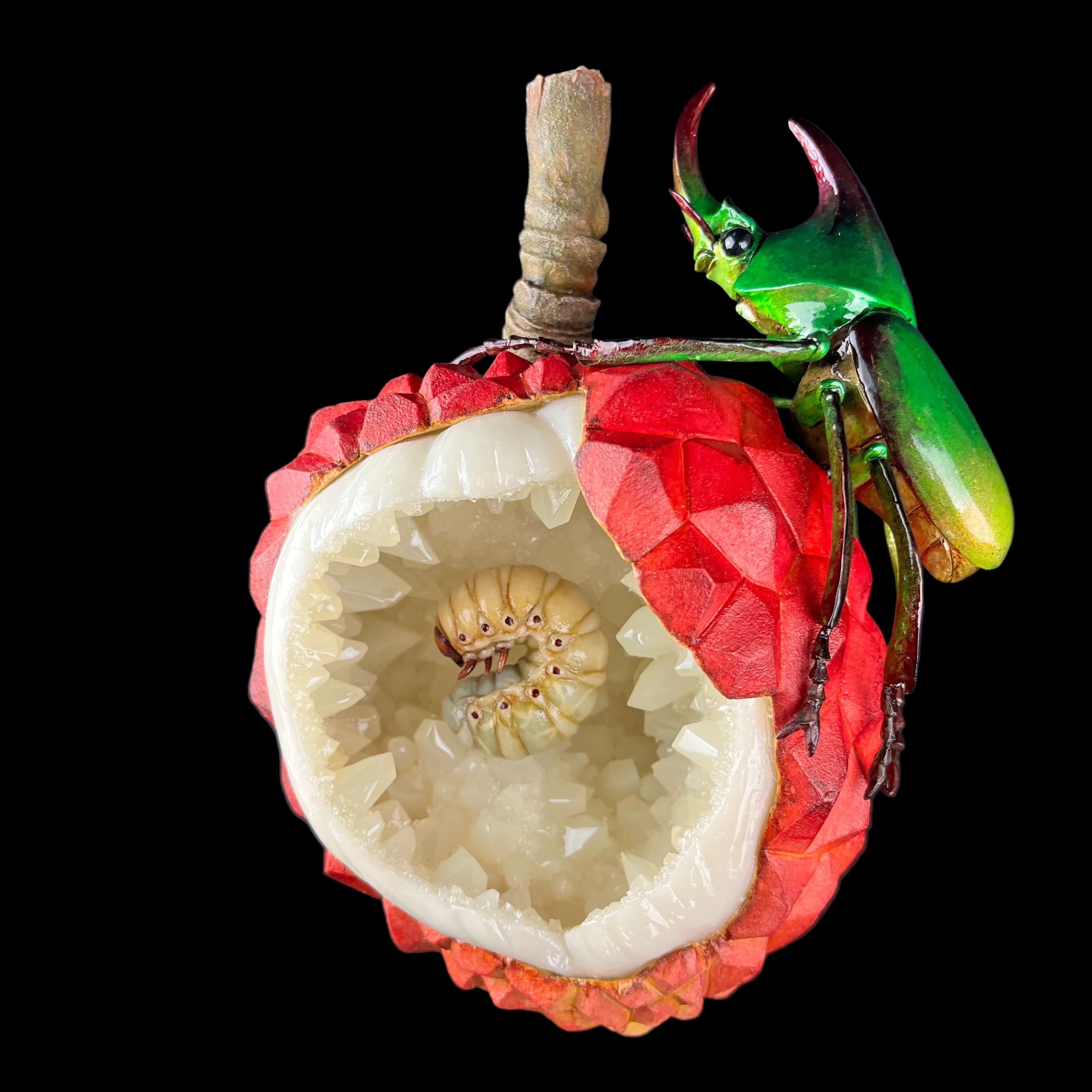 Insect on a red fruit with a black background