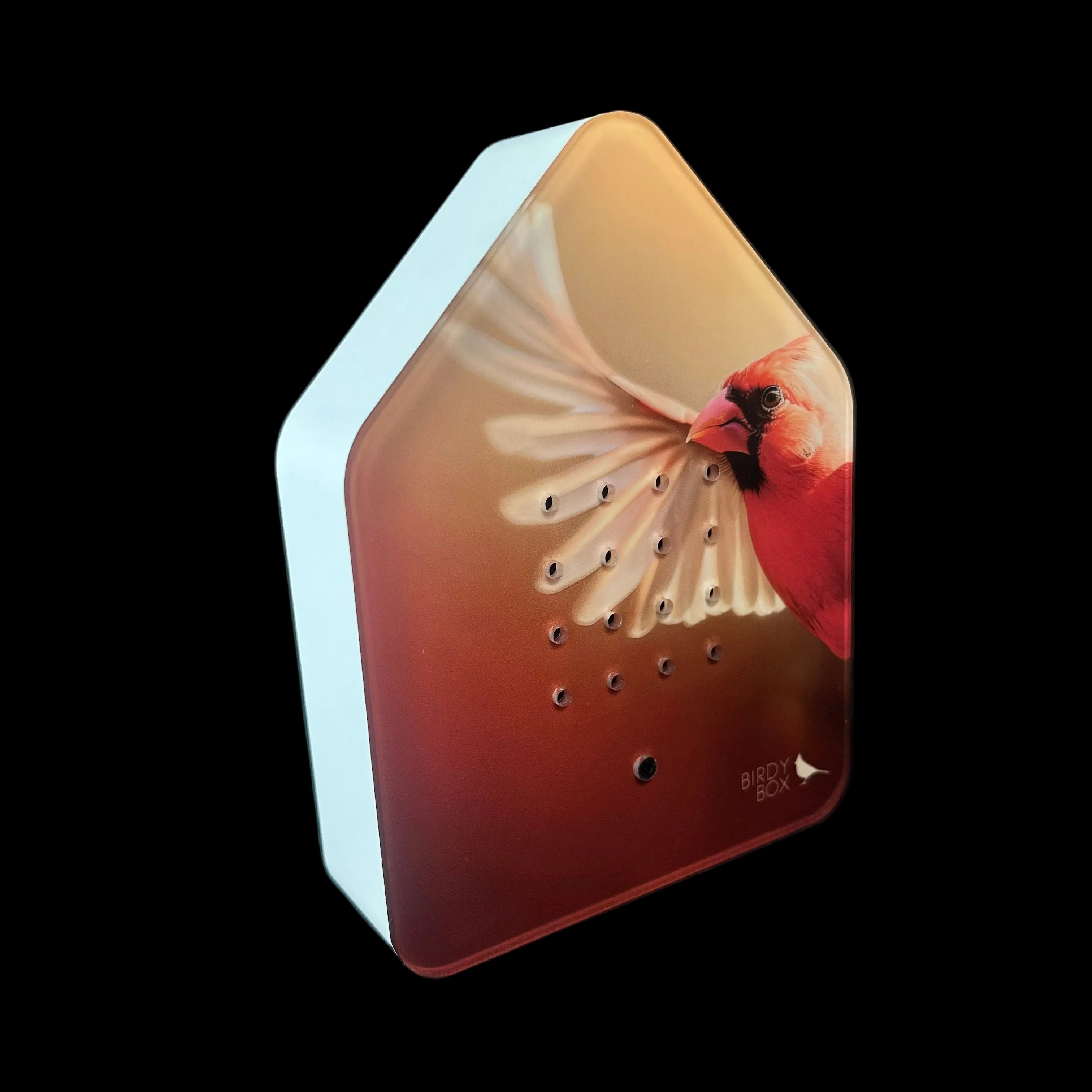 Small electronic device with a bird design on a dark background