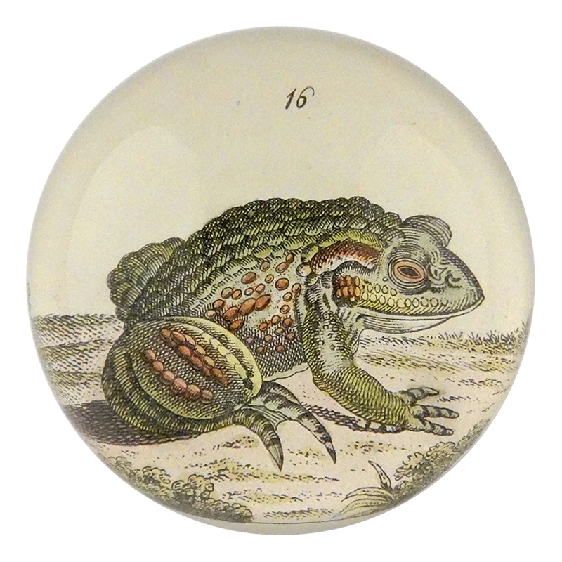 Decorative knob with a toad illustration on a beige background