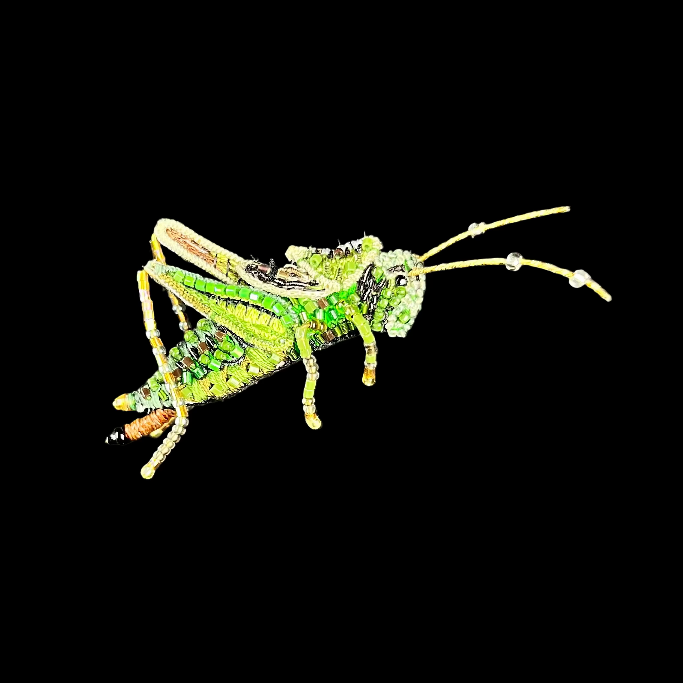 Green grasshopper on a black square background