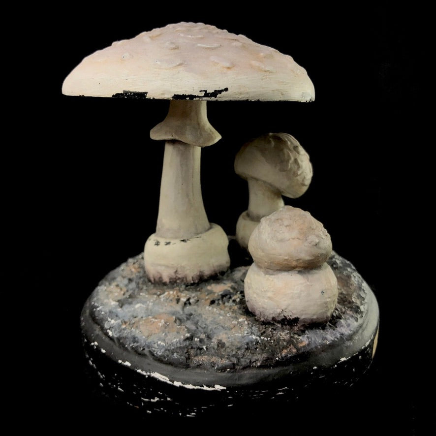 Back view of amanita Virosa mushroom model