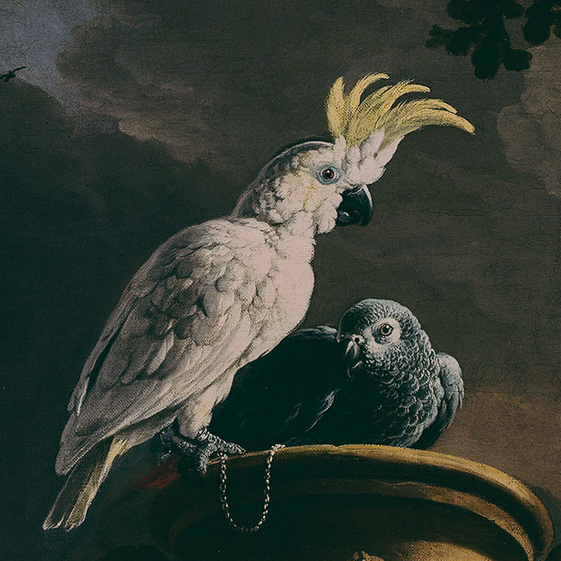 Detail view of cockatoo standing in foreground of piece