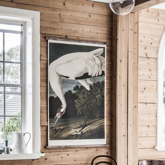 Hopping Crane wall chart hanging in a living environment