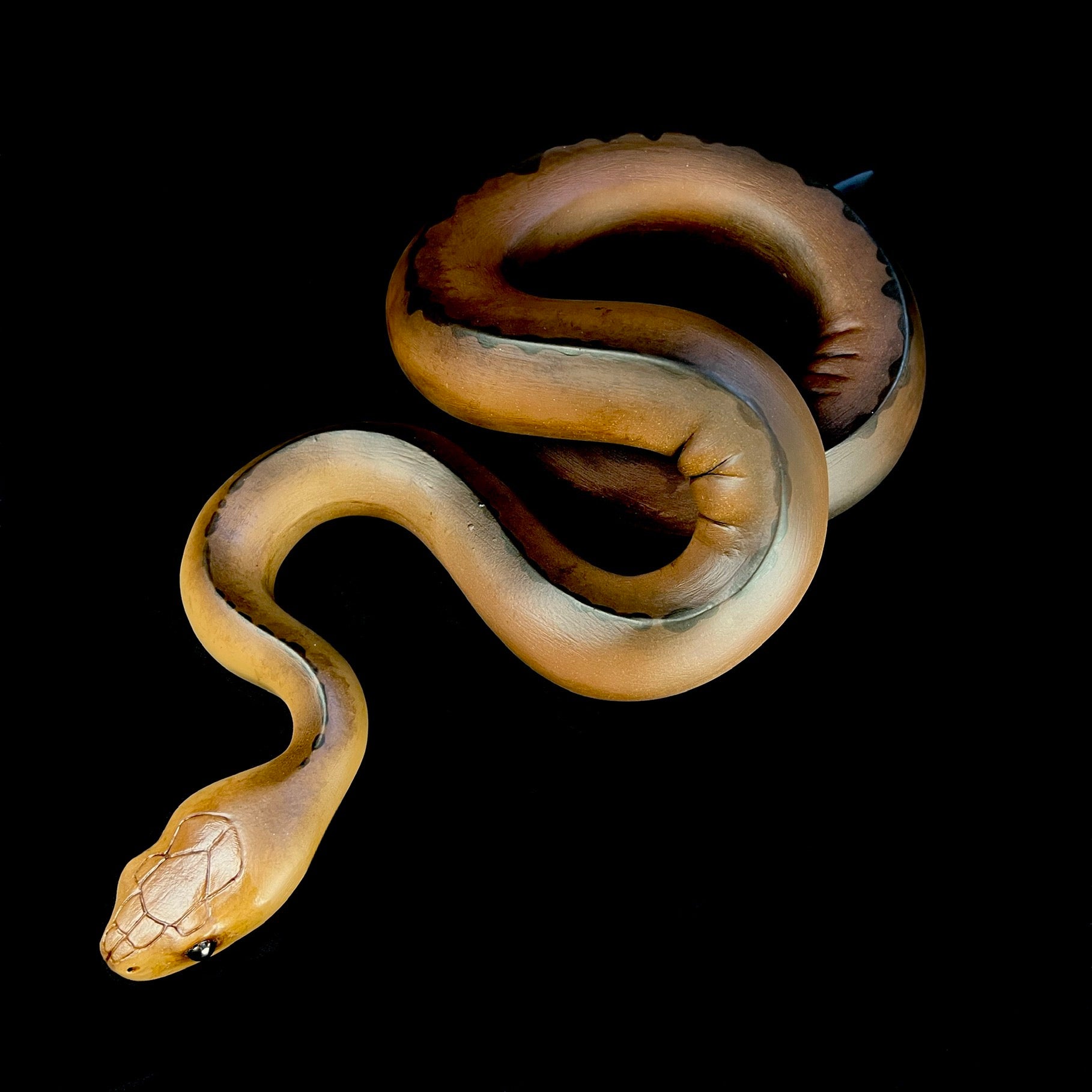 Top view of Brown Wall Hanging Snake Sculpture and coil detail