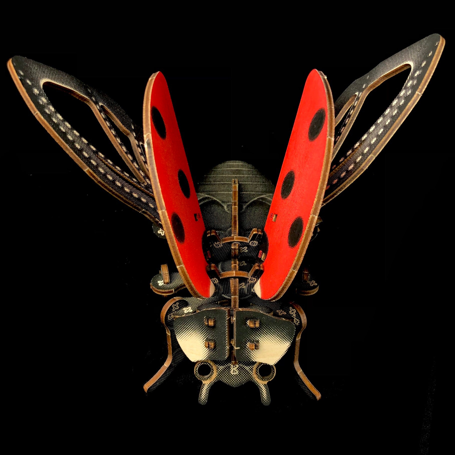 Ladybug Puzzle Model