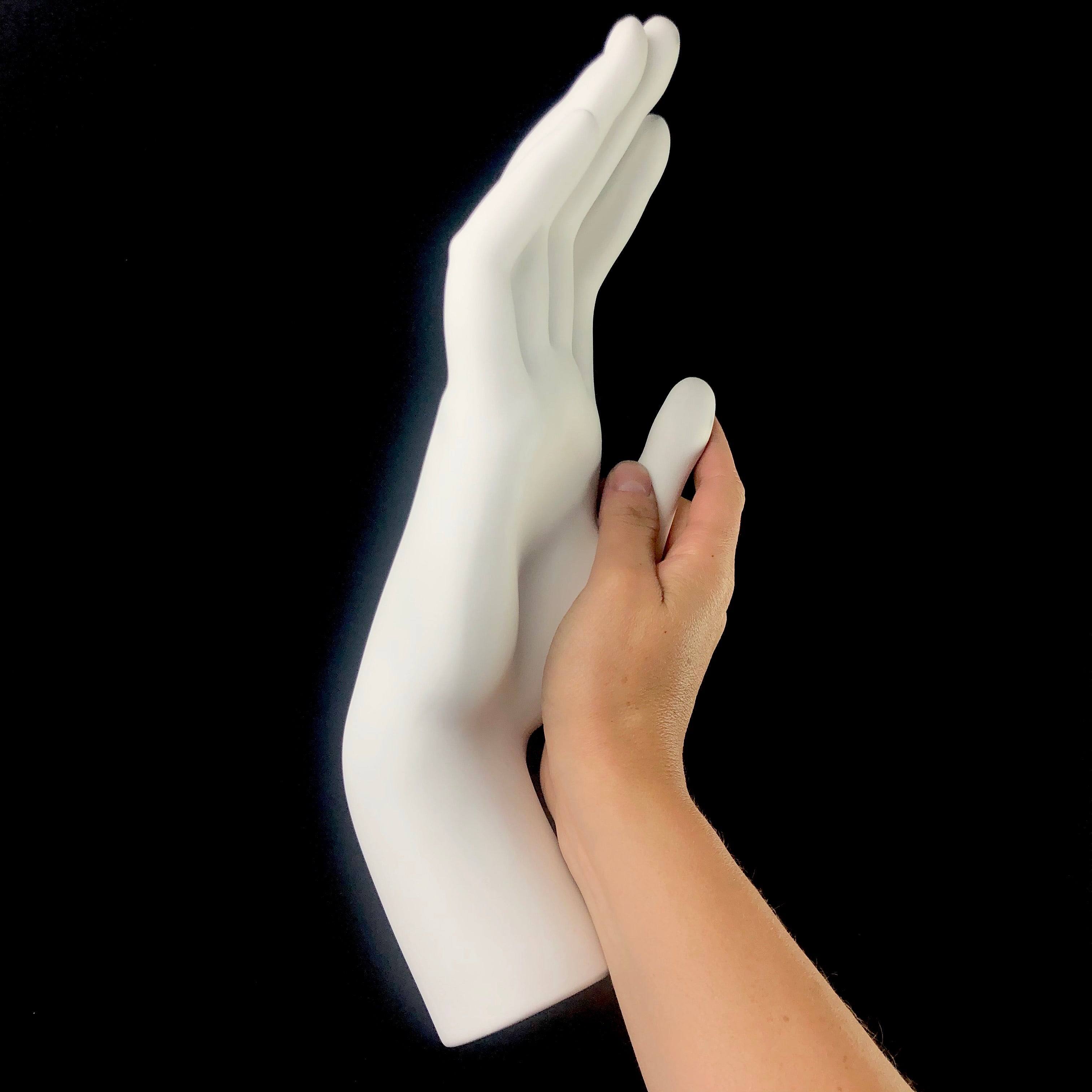 Hand shown with human hand for size reference