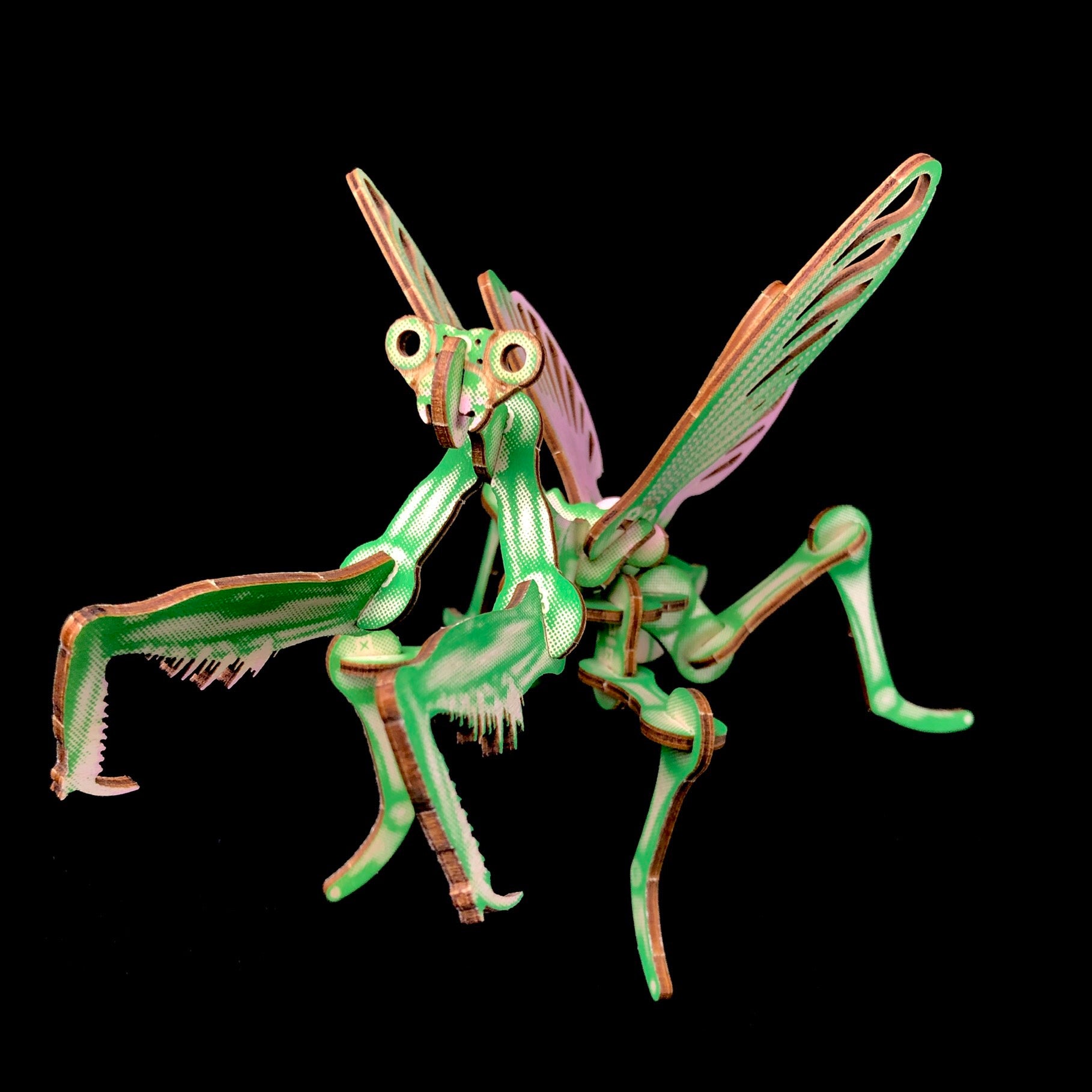 Mantis Puzzle Model