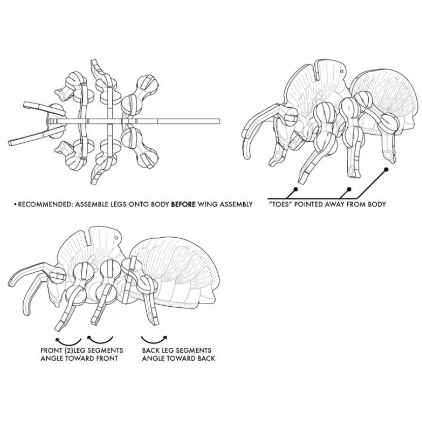 Bumblebee Puzzle Model