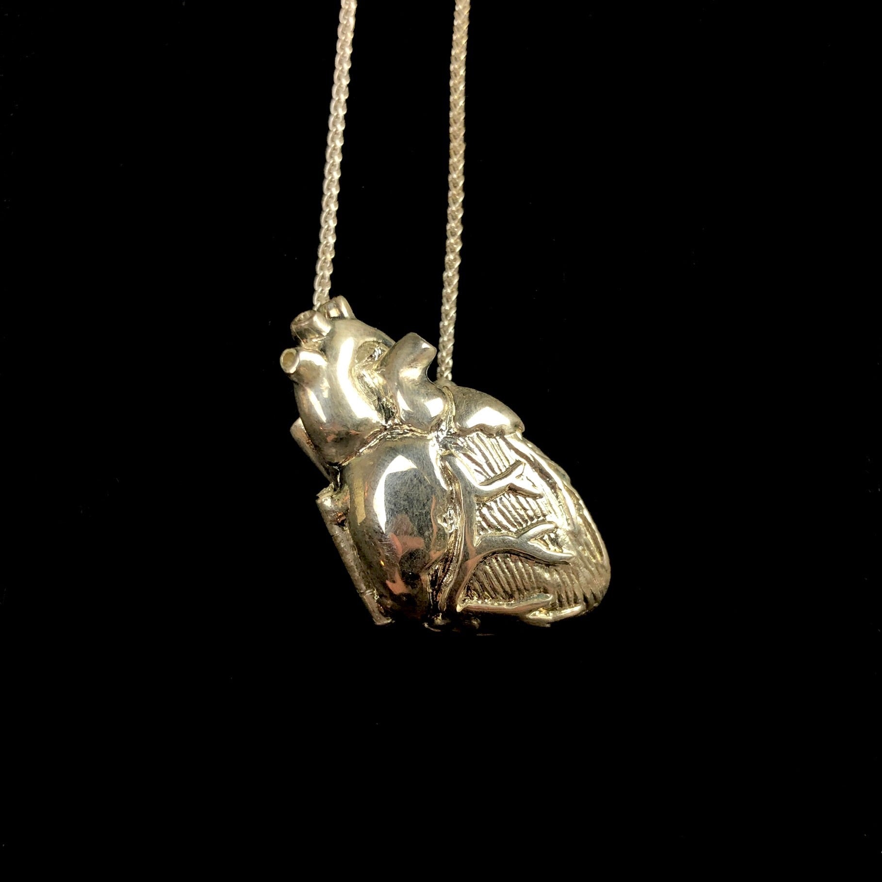 Silver Anatomical Heart Locket