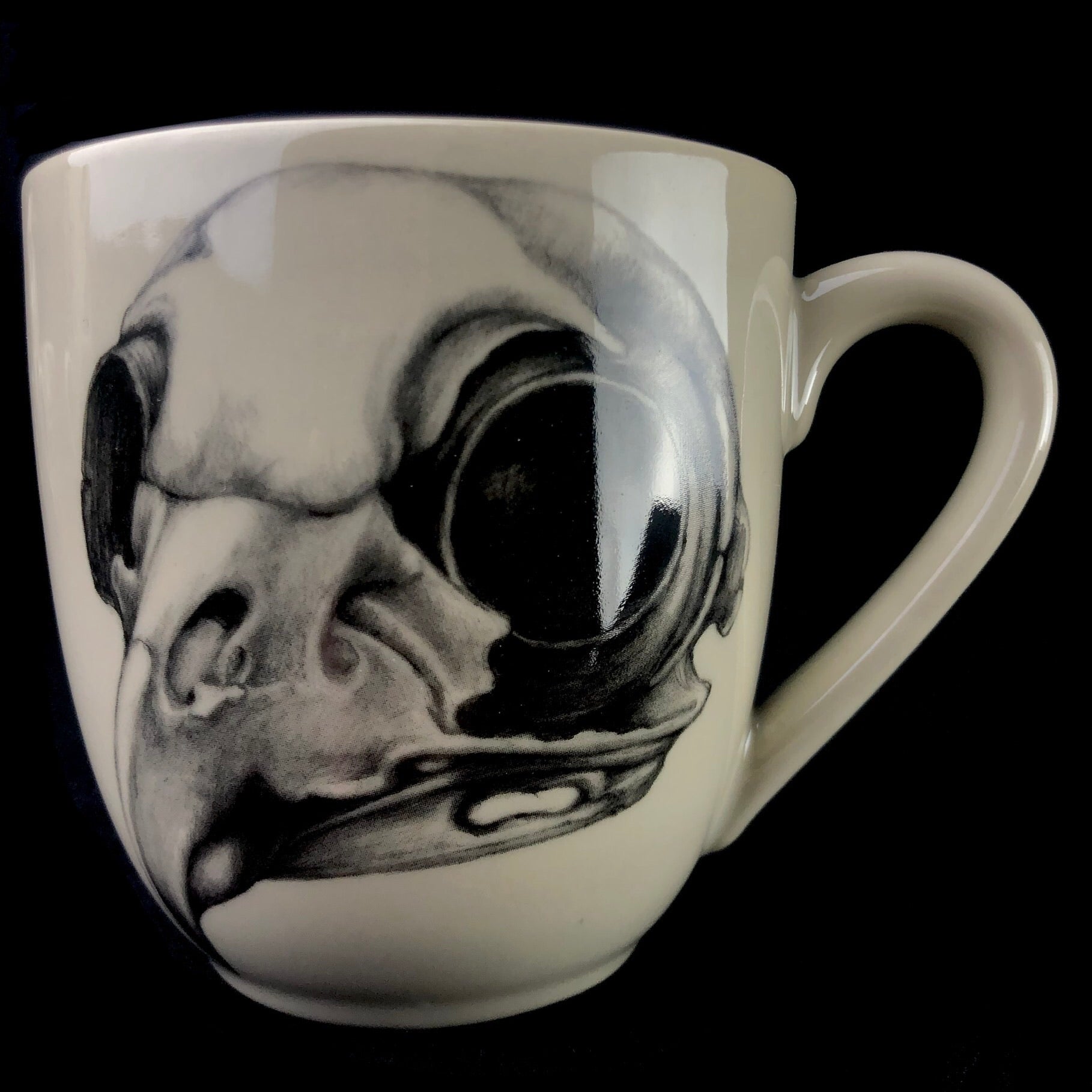 Front view of Owl Skull Mug
