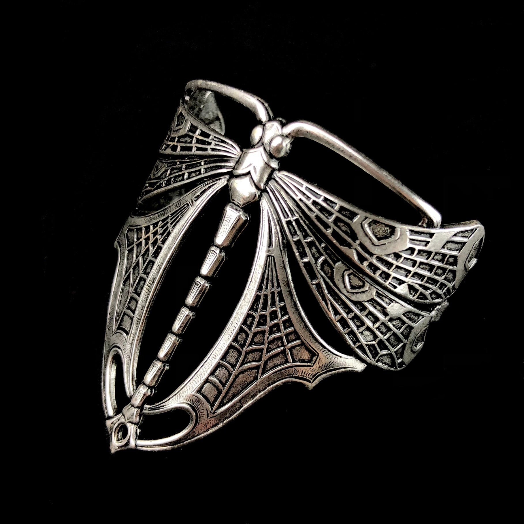 Side view of Dragonfly showing wing details