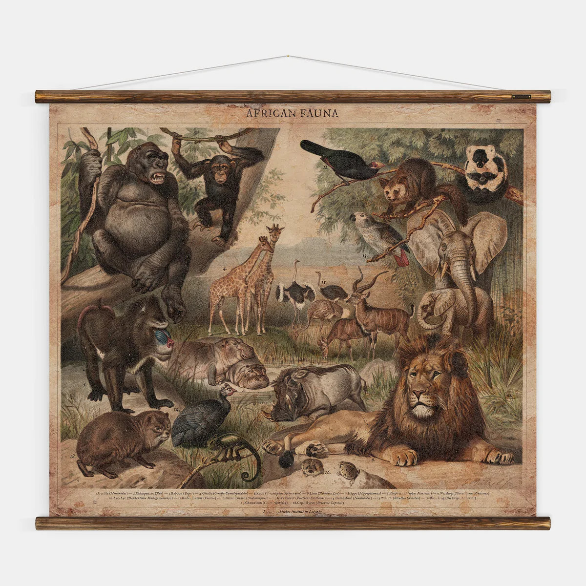 Full view of African Fauna Wall Chart
