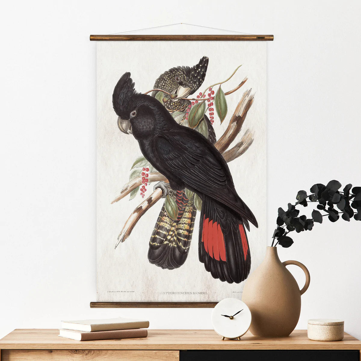 Black Cockatoo Wall Chart displayed in living environment