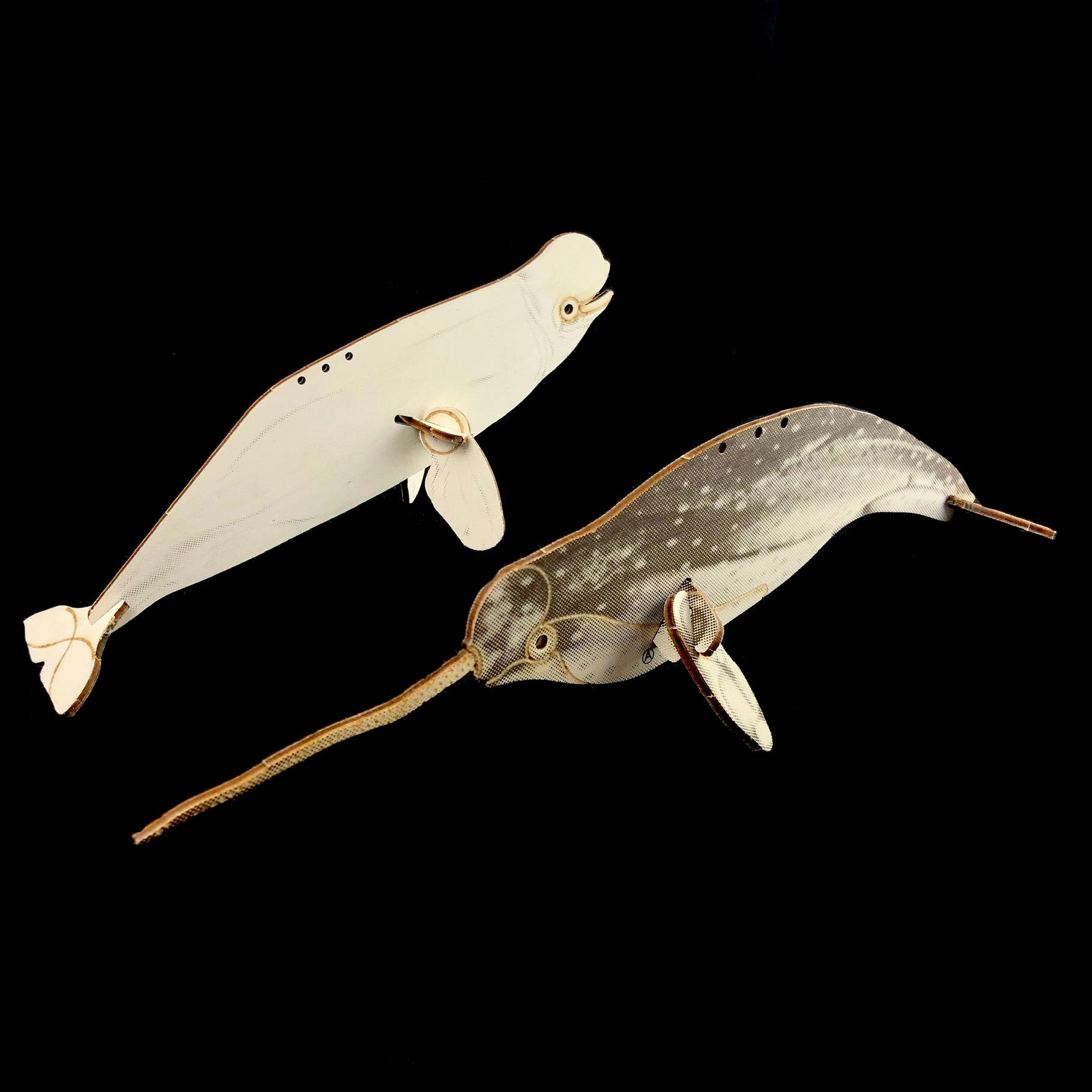 Narwhal & Beluga Puzzle Set