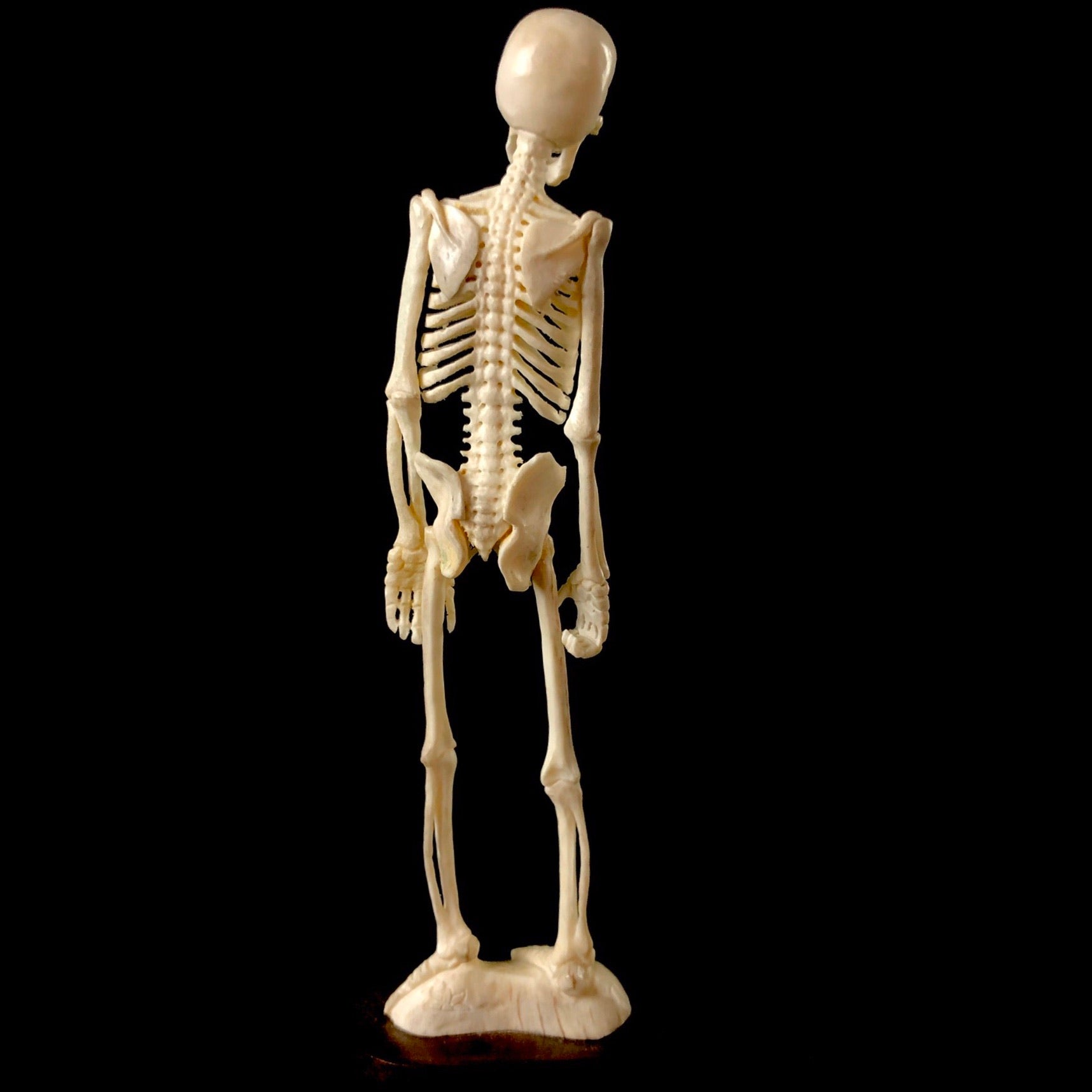 Back view of Standing Skeleton Carving