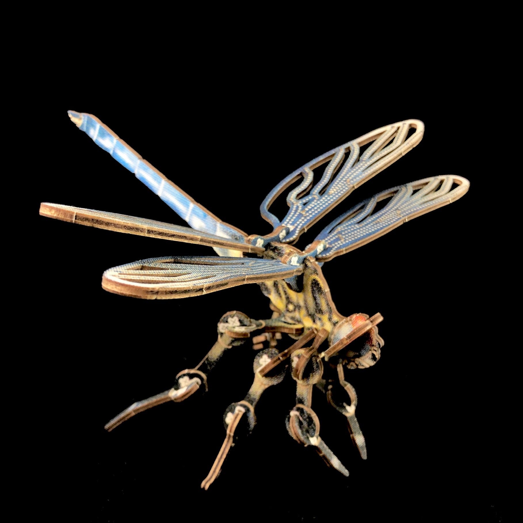 Dragonfly Puzzle Model