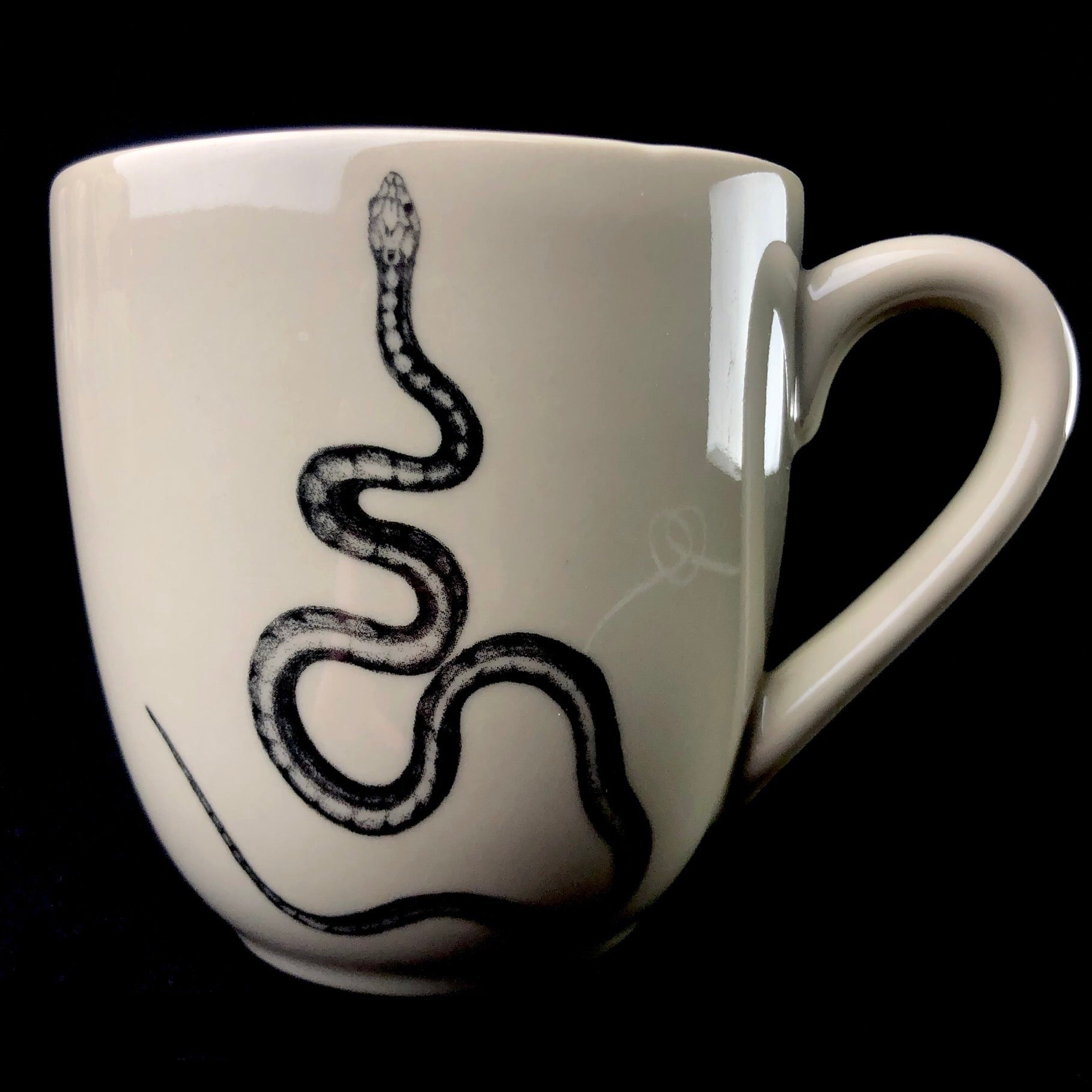Front view of Snake Mug
