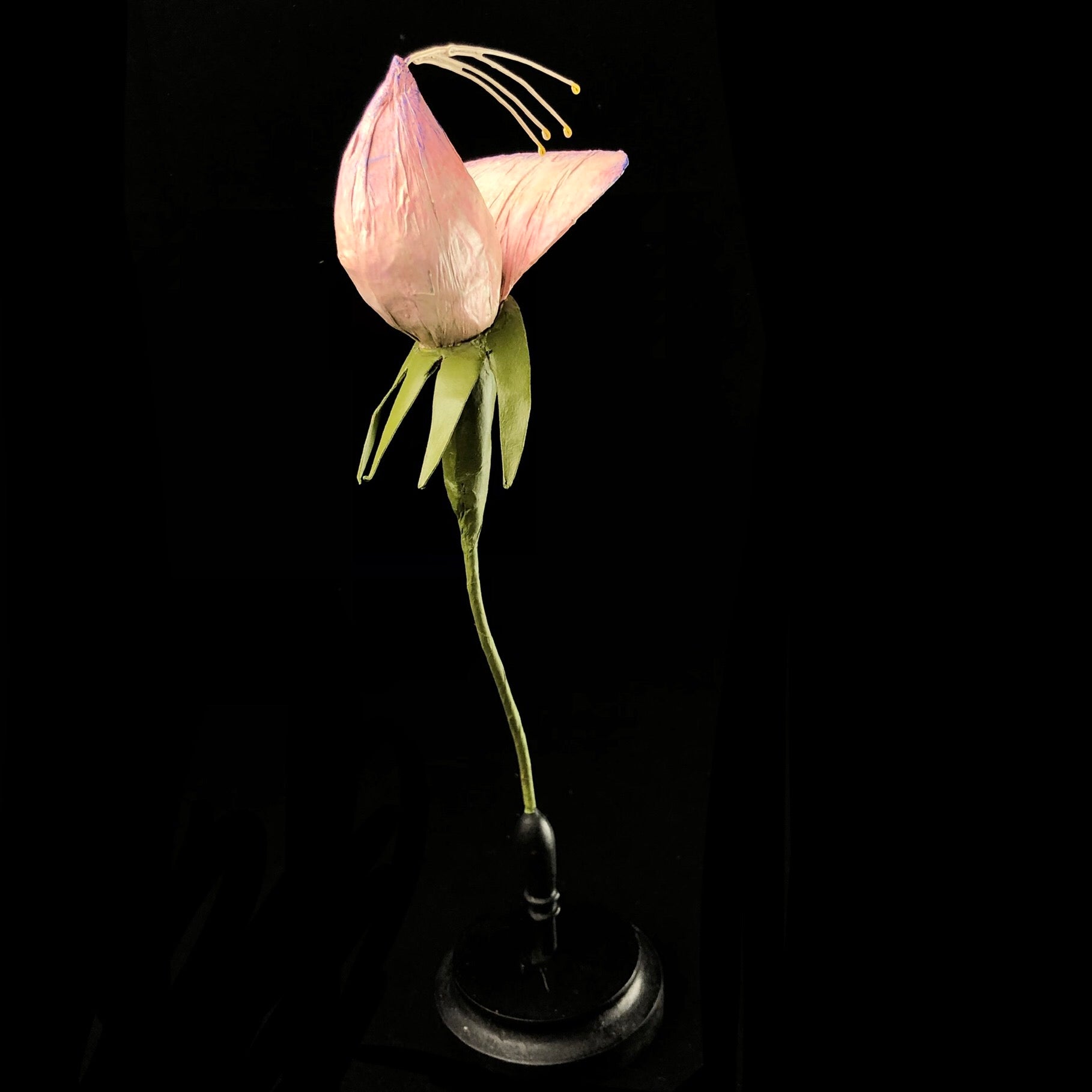 Alternate front view of Pink Flower Study Model