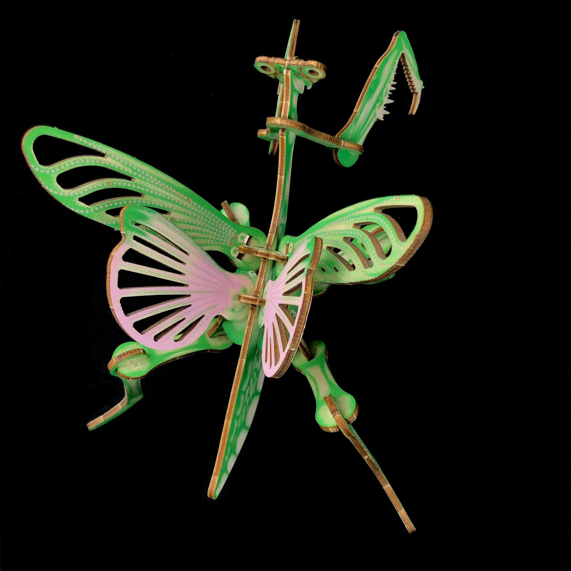 Mantis Puzzle Model