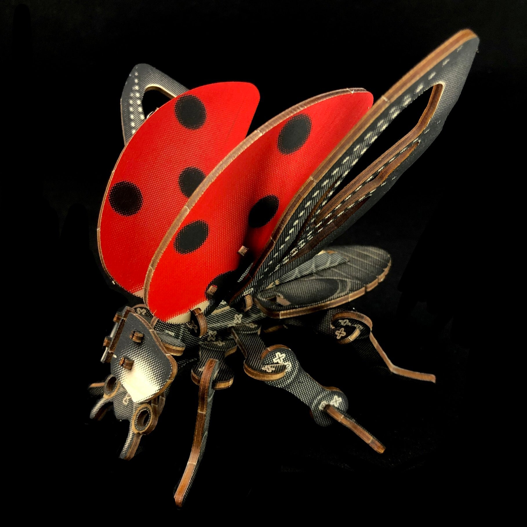 Ladybug Puzzle Model