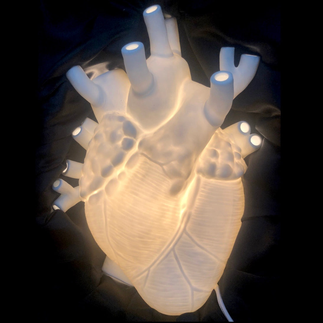 Front view of Anatomical Heart Lamp illuminated