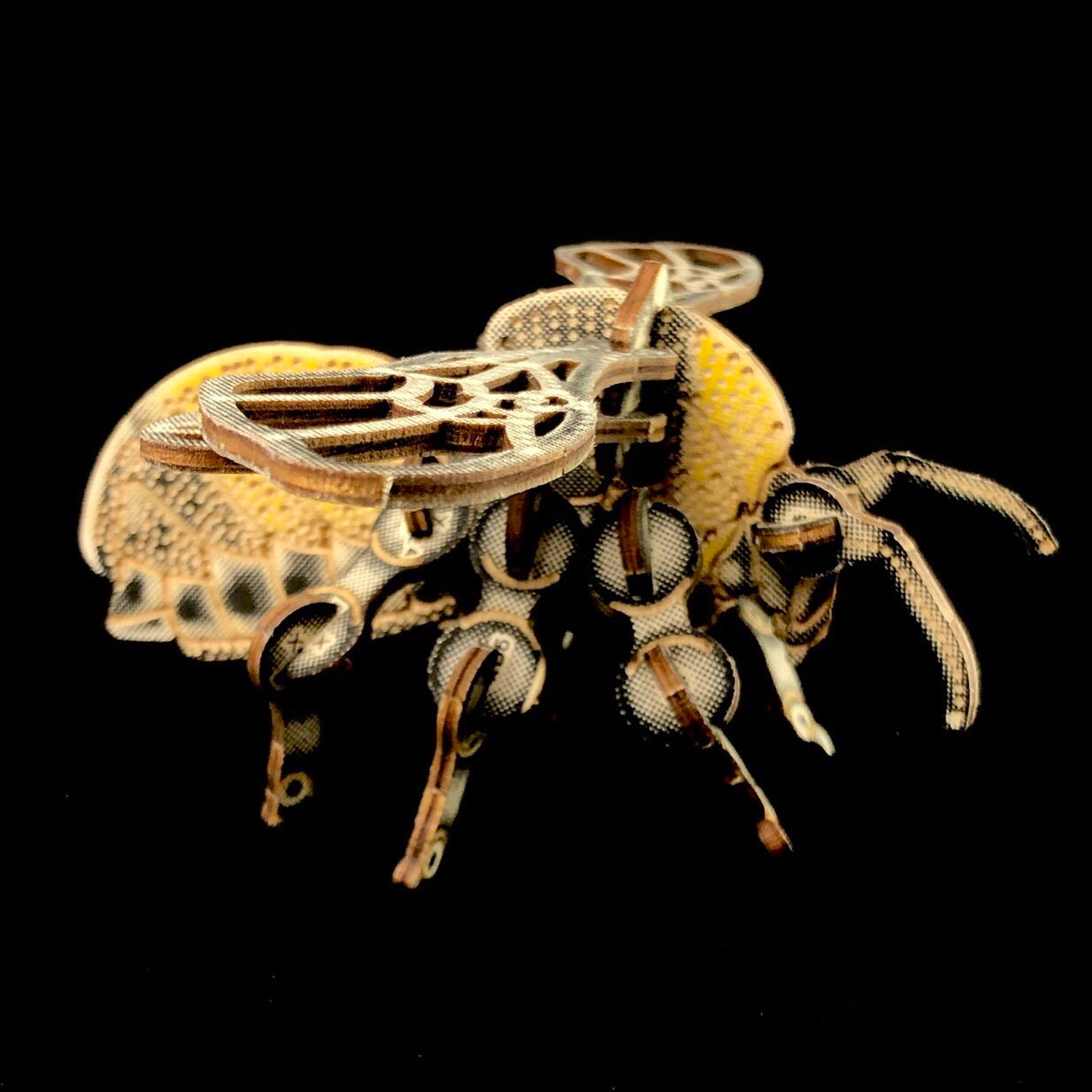 Bumblebee Puzzle Model