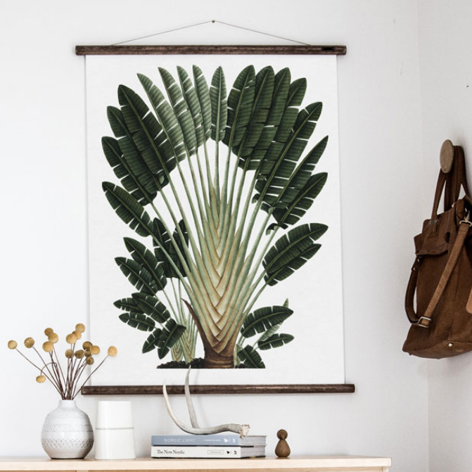 Palm chart hanging in a living environment