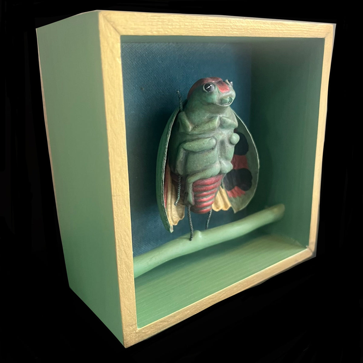 Green and Red Bug Box