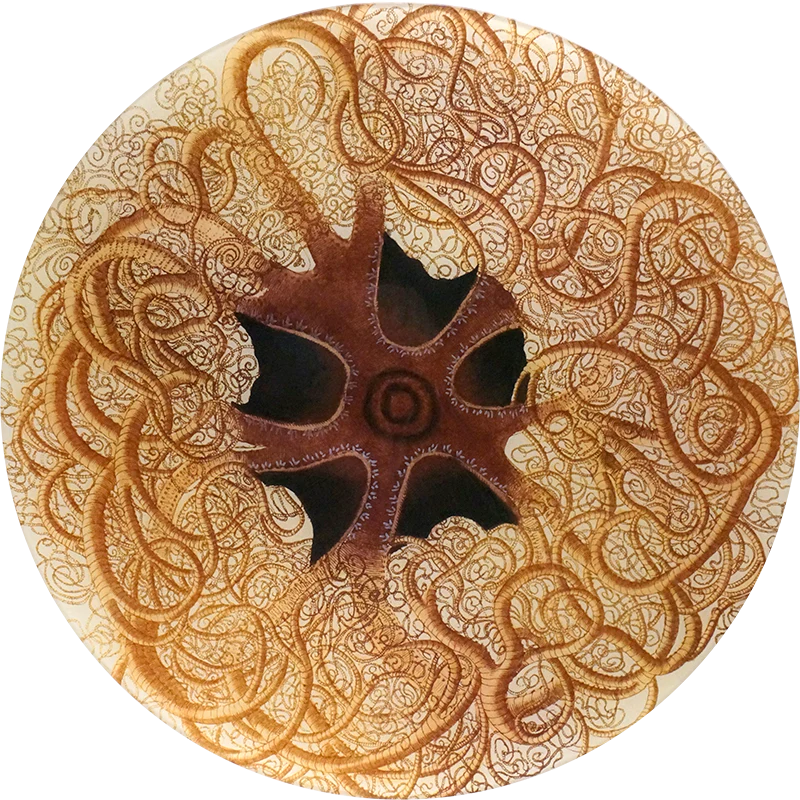 Front view of Large Round Brittlestar Tray
