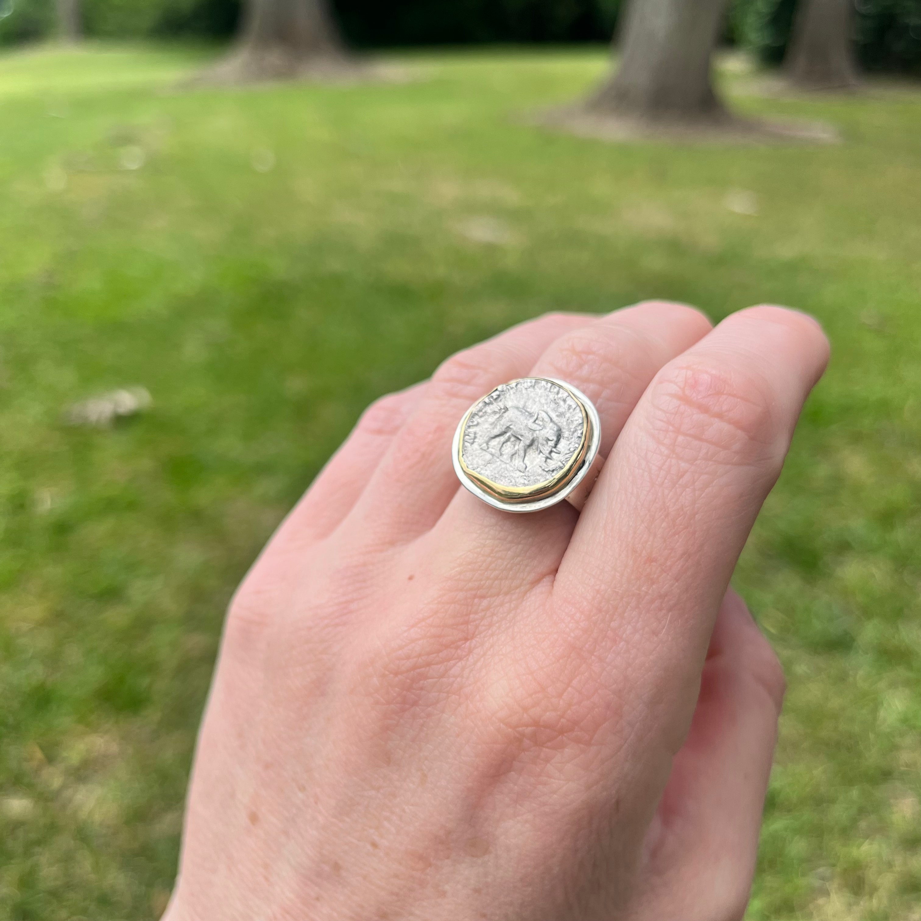 Hand wearing a silver ring with an emblem against a grassy background