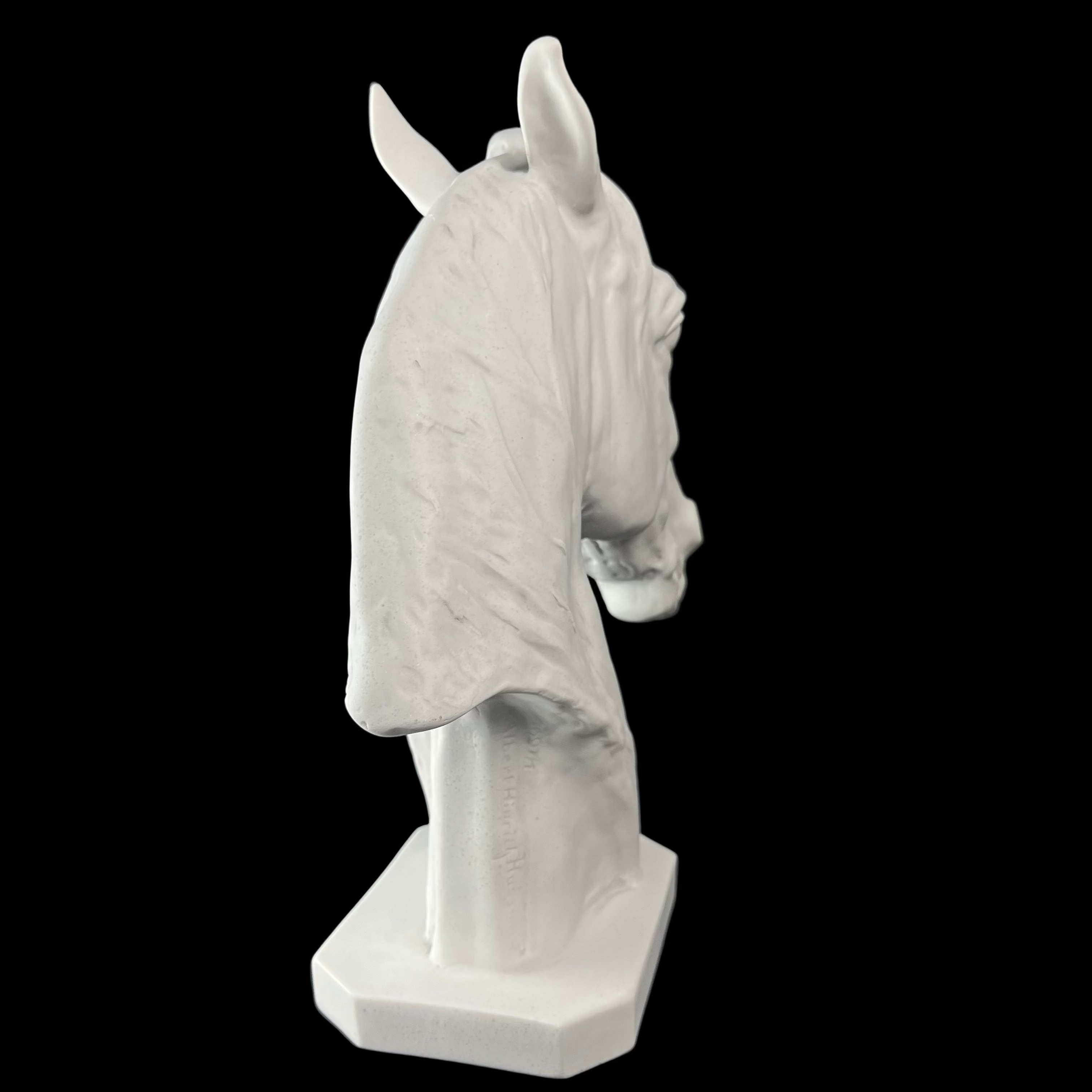 White marble horse head sculpture on a black background