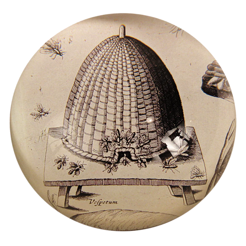 Illustration of a beehive with bees on a round, textured background