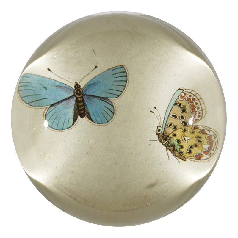 Round ceramic knob with butterfly designs on a white background