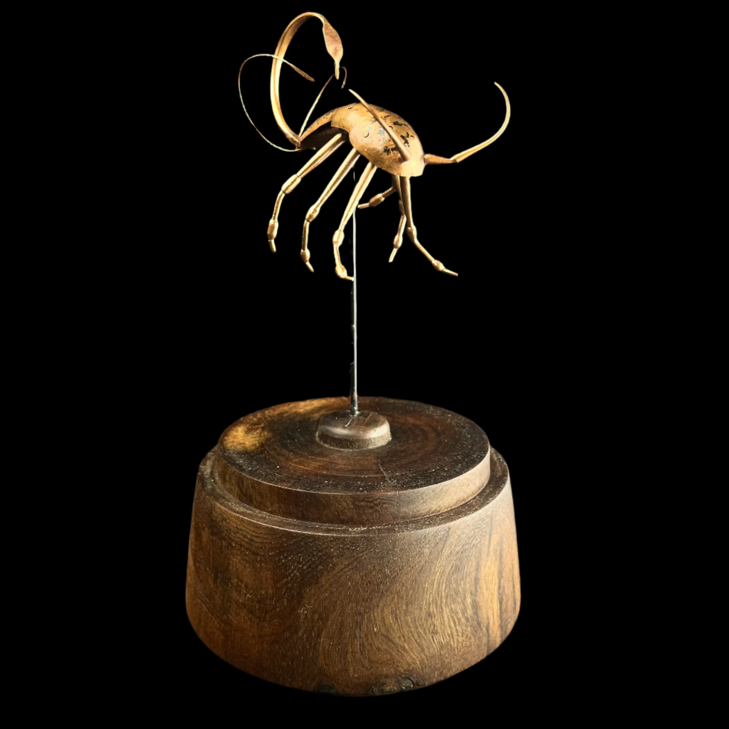 Front view of Copper Insect without glass dome