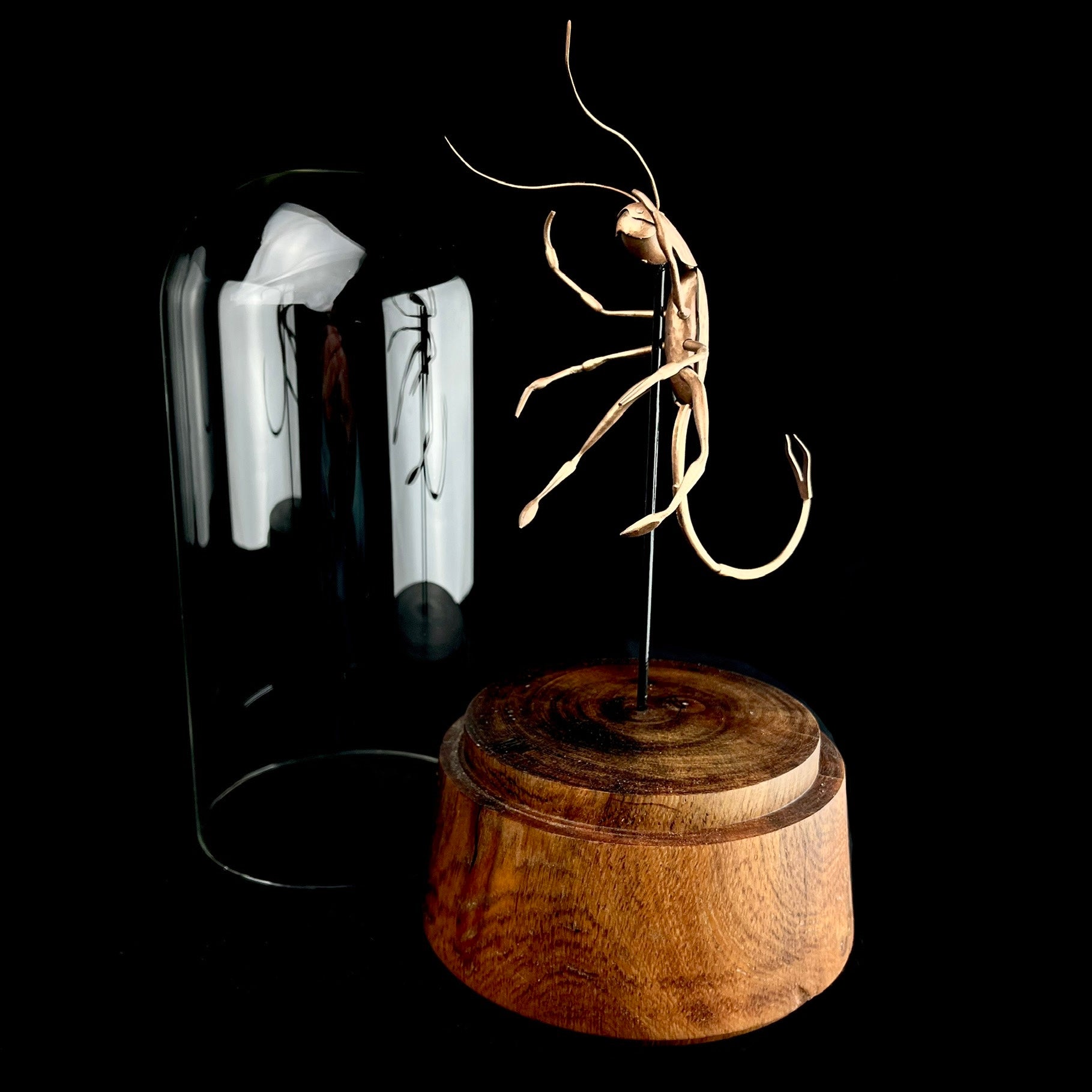 Copper sculpture of a prawn on a wooden base with a black background