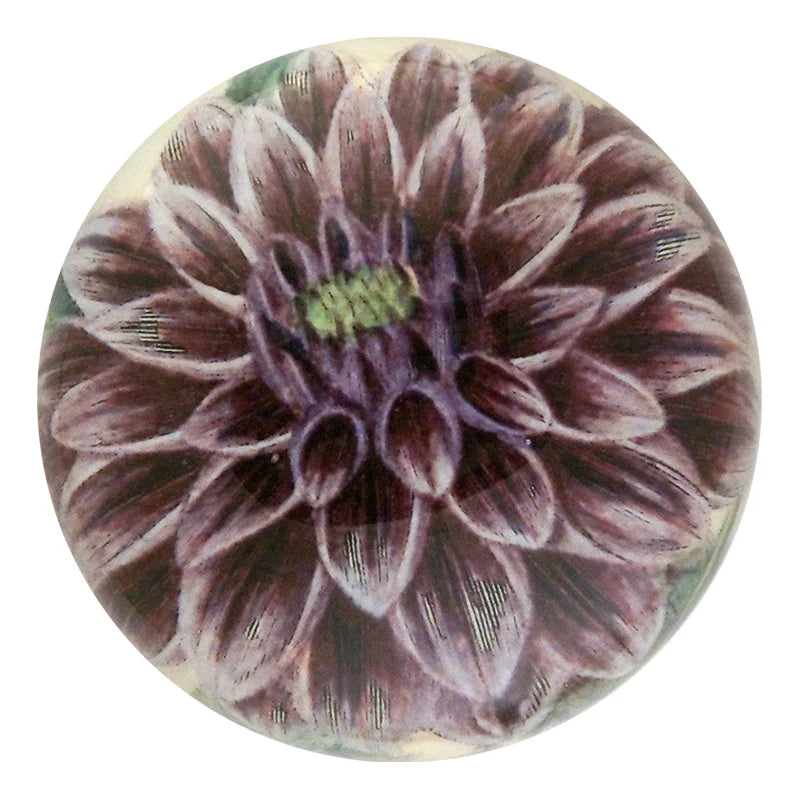 Round ceramic knob with a floral design on a white background