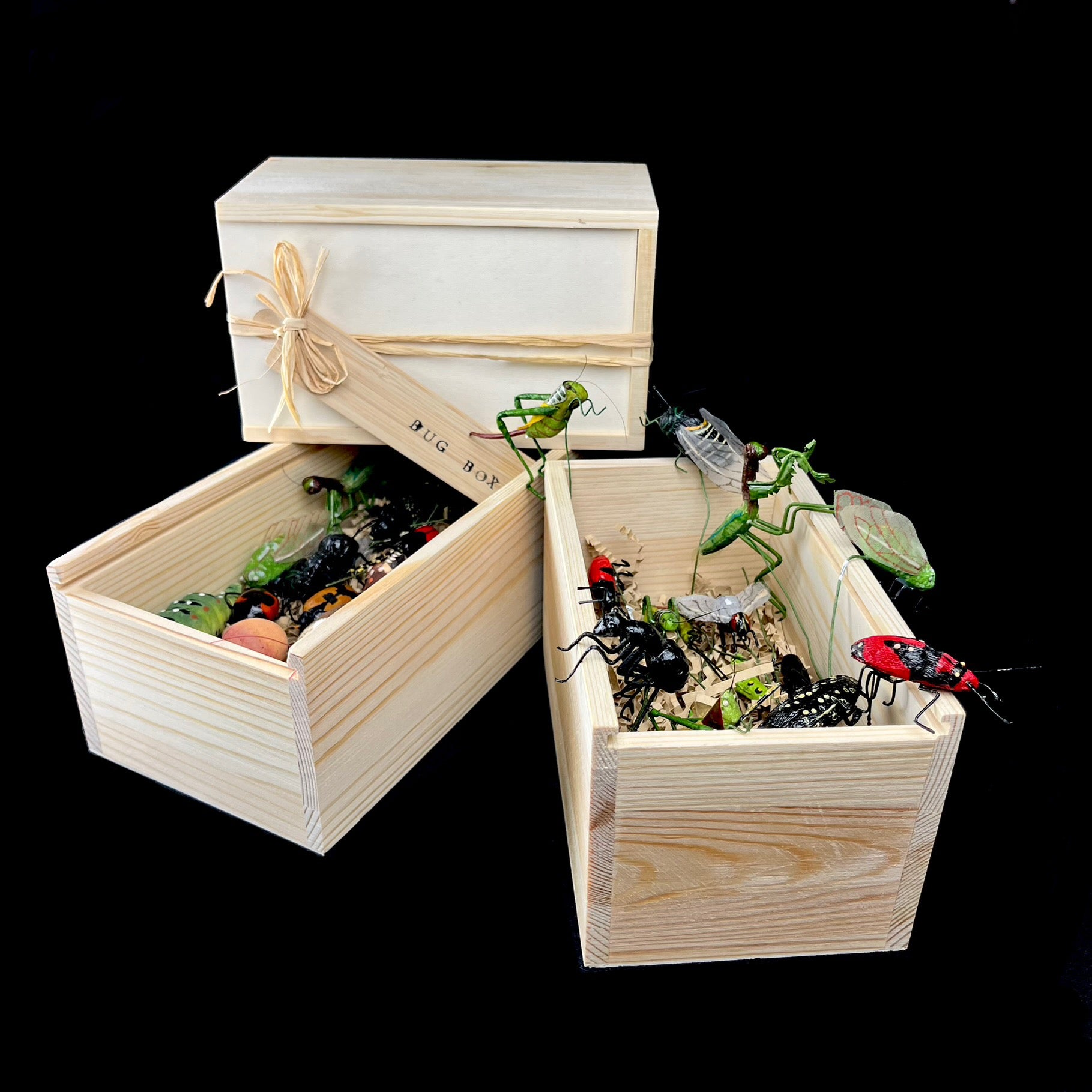 Wooden toy box with toy insects on a black background