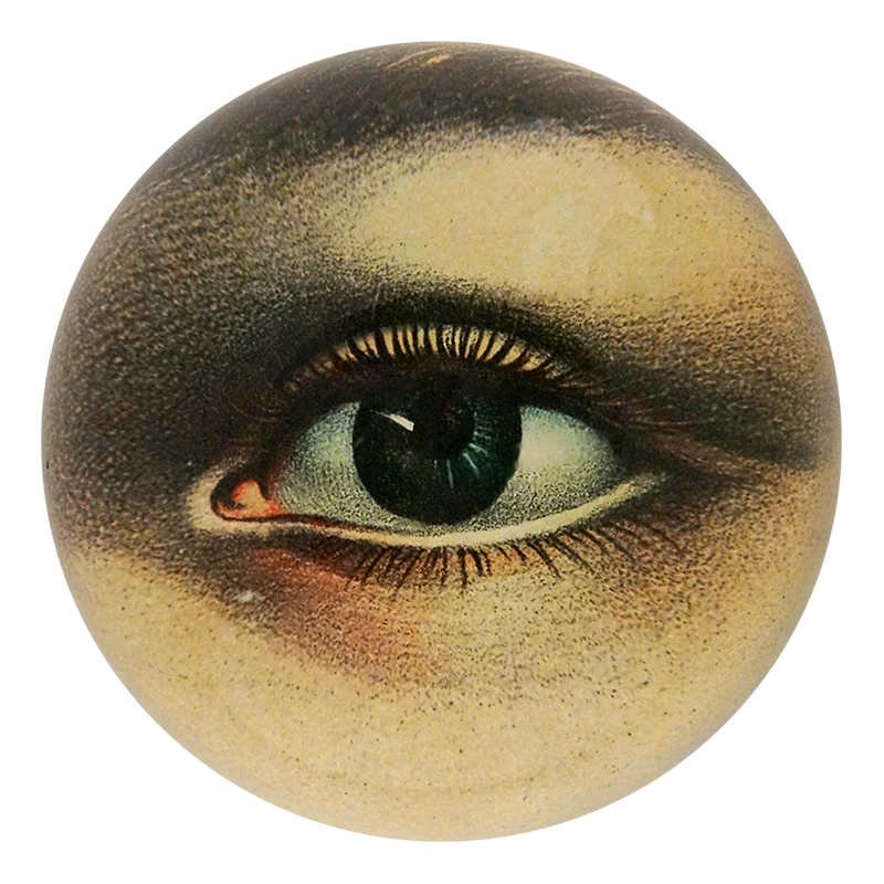 Left Eye Paperweight