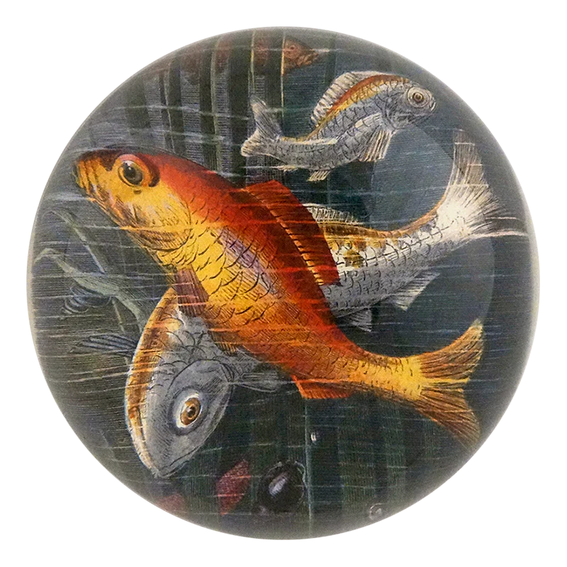Decorative paperweight with fish illustration on a white background